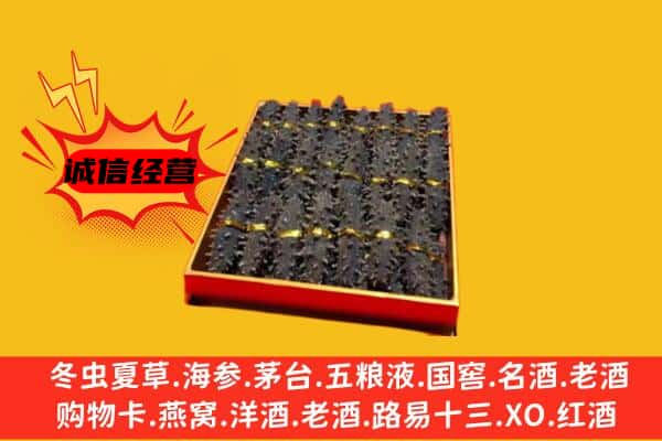 陈巴尔虎旗回收海参